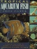 Tropical Aquarium Fish : A Step-by-Step Guide to Setting Up and Maintaining a Freshwater or Marine Aquarium by 