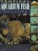 Tropical Aquarium Fish : A Step-by-Step Guide to Setting Up and Maintaining a Freshwater or Marine Aquarium by 