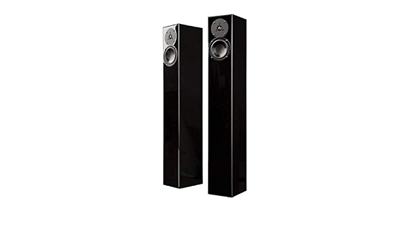 Amazon.com: Totem Acoustic Arro - Altavoz de pie, color negro : Electrónica