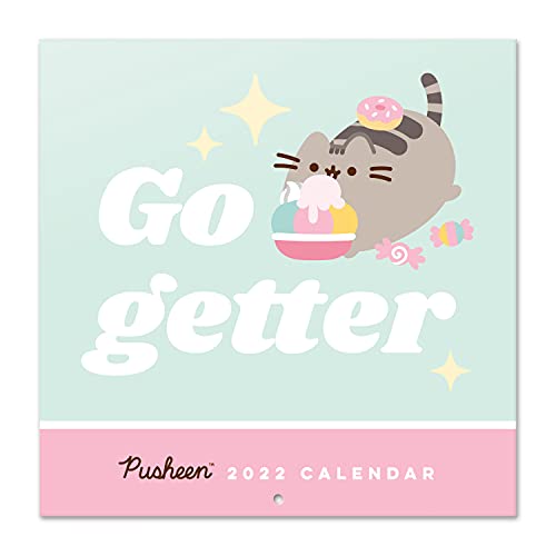 Pusheen Pastel