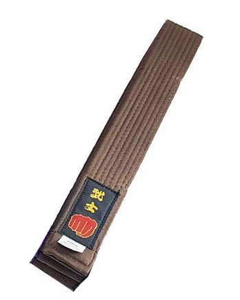 Longford Store UK Karate Belt Martial Arts Taekwondo Judo Kickboxing Ju-Jitsu Shotokan (Brown, 240cm Junior)