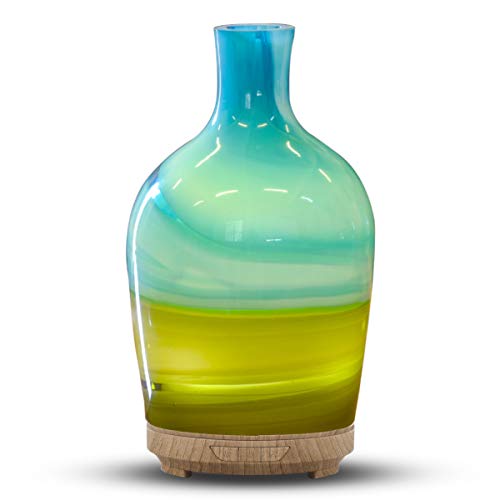 Essential Oil Diffuser 120ml Art Glass Vase Fragrance Diffuser Ultrasonic Cool Mist Humidifier with 7 Color LED Lights and Waterless Auto Shut-off Intermittent Spraying For Home Office Yoga Spa