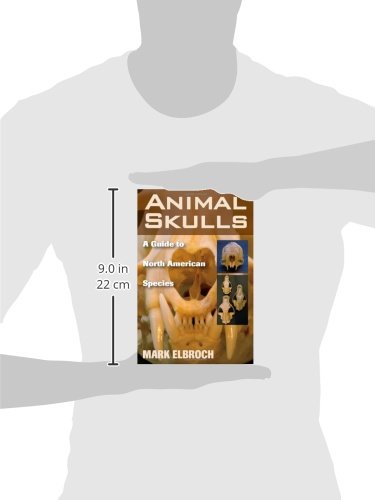 image for Stackpole Books Animal Skulls