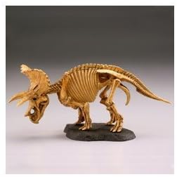 Capsule Q museum dinosaur excavation Symbol Triceratops [2. Triceratops systemic skeleton] (single)