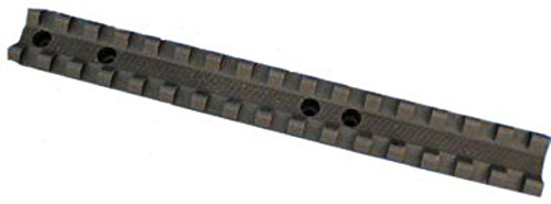 EGW Ruger 10-22 Picatinny Rail Scope Mount, 0 MOA