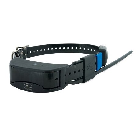 best gps e collar
