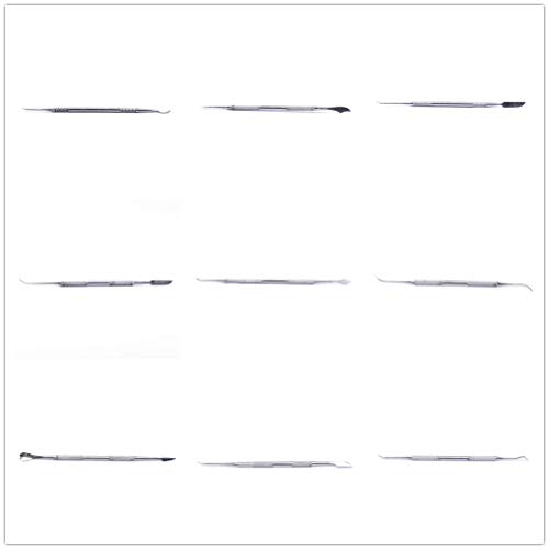 10PCS Dental Wax Carvers with Case, Stainless Steel Carving Instruments, Sculpture Tools
