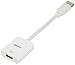 Amazon Basics DisplayPort to HDMI Display Adapter Cable
