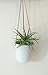 Hanging Planter w/ White Ceramic Pot - 4 x 4.5 Inch Pot - Doni Matte White Plant Hanger w/ Leather Strap - Global Modern Farmhouse Decor for Home, Patio, Deck, or Office