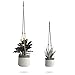 23 Bees Ceramic Hanging Planter, White Gray Succulent Pots, Round Plant Holder Container, Cactus Pot with Cotton Rope Hanger, Indoor Outdoor Decor, (2 Pack x White)