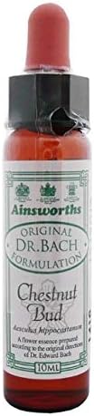 Ainsworths10 ml Chestnut Bud Bach Flower Remedy