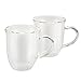 BonJour Coffee Insulated Borosilicate Glass Cappuccino Cups, 2-Piece Set, 8-Ounces Each