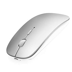 ANEWISH Bluetooth Mouse for Laptop/iPad/iPhone/Mac(iOS13.1.2 and Later)/PC, Rechargeable Noiseless Mini Wireless Mouse…