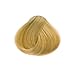 Goldwell Topchic Hair Color Coloration (Can) 9A Very Light Ash Blonde