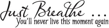 Vinyl Decal Sticker for Computer Wall Car Mac Macbook and More - Just Breath