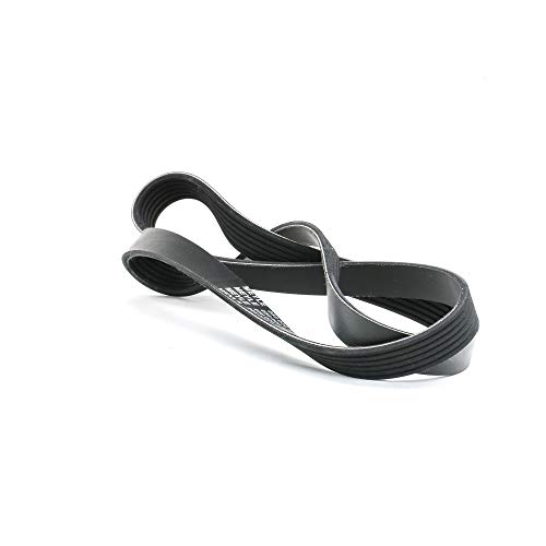 Meyle 050 006 1255 Correa trapecial poli V