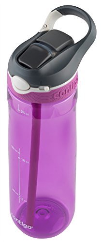 Contigo Automatic Spout Straw, 24 oz, Pink 72342