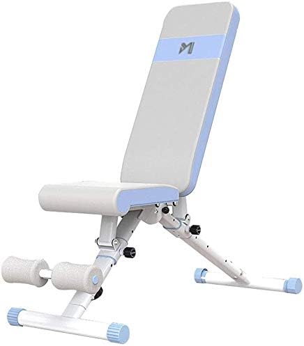 YZPJSQ Adjustable 90°Flat Weight Bench, Weight Bench - Sit Up AB Bench Commercial Dumbbell Bench Gym Quality Home Training Gym Weight Lifting Abdominal Training Bench White