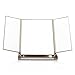 Readaeer Foldable Makeup Travel Mirror with 3 Panels (Champagne)
