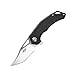 Firebird GANZO FH61-BK Pocket Folding Knife D2 Steel Blade G10 Handle with Clip Hunting Fishing Camping Survival Outdoor EDC Knife (Black)