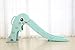 WenStorm Slide for Boys Girls Indoor Outdoor Backyard Use First Slide Playground Plastic Play Slide Climber with Basketball Hoop Dolphin Mint Green