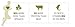 5-Pack: Cricket Flour/Powder made of 100% Cricket (1.1 lb)