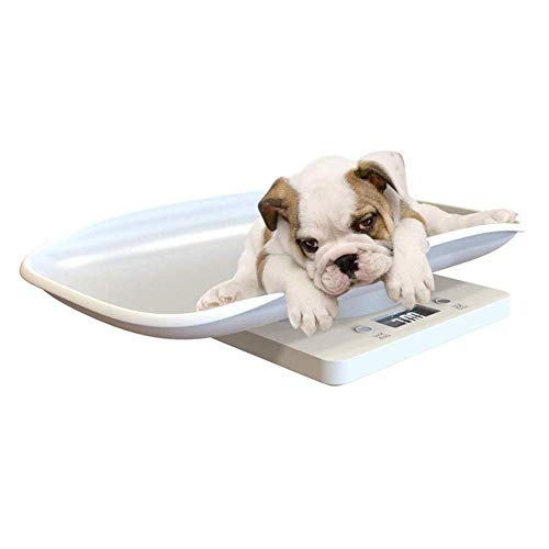 Aochol Digital Pet Scale,LCD Electronic Scales for Measure Baby, pet, Dog Food,High Precision pet Electronic Scale, Capacity up to 10 kg /22 lb(White)