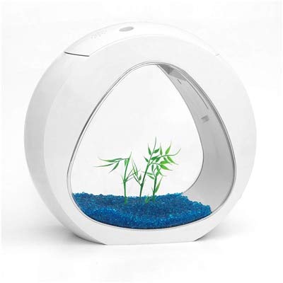 Yshen Fish Tank Creative Small Nano Curve Office Table Aquarium Tropical Led Lighting M White