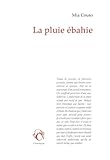 La pluie ébahie by 