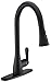 AguaStella AS98MB Matte Black Kitchen Sink Faucet with Pull Down Sprayer Single Handle with Deck Plate