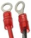 Standard Motor Products Conversion Kit - LX815