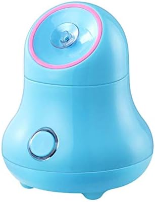 FMEZY Hot Facial Steamer Fruits & Vegetable &Petals Humidifier Moisturizing Unclogspores Mist Nano Water Sprayer for Spa Salon Skin Sauna Care Tools