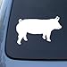HOG SILHOUETTE - Pig - Vinyl Car Decal Sticker #1523 | Vinyl Color: White