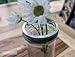 Mason Jar with Frog Lid Insert Regular Mouth 16 Oz Bundle (clear jar silver band)