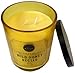 DW Home Wild Honey Nectar 15.48 oz. Candle in Glass jar