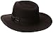 Indiana Jones Dark Brown Fedora Hat Medium