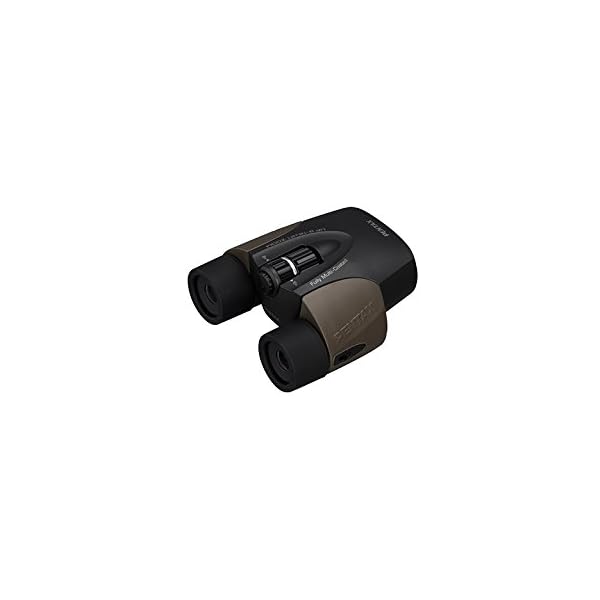 Ricoh 61962 Fernglas braun