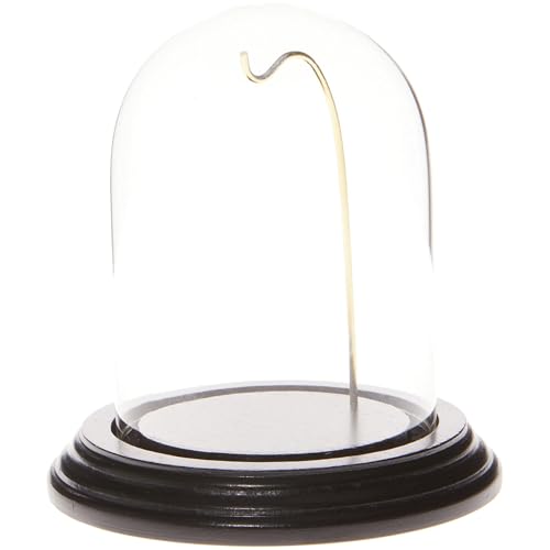 Plymor 3" x 4" Watch/Ornament Glass Display Dome Cloche (Black Wood Veneer Base & Gold Wire)