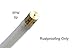 PMT Undercoating Gun + Spray Wand Kit