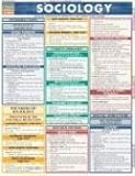 Sociology (Quickstudy Reference Guides - Academic), Inc. BarCharts, 1572226471