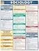 Sociology (Quickstudy Reference Guides - Academic)