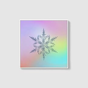 Framed Canvas Wall Art for Living Room, Bedroom Snowflake Theme Canvas Prints for Home Decoration Ready to Hang - 16x16 inches