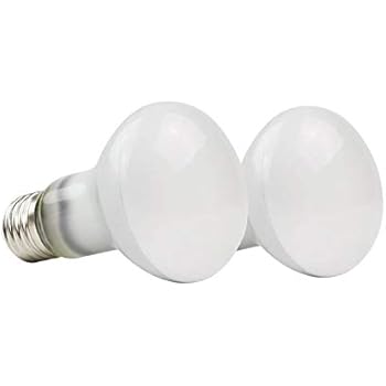 MD Lighting 100W UVA Basking Spot Heat Lamp Bulbs(2 Pack), 110V Reptile Mercury Vapor Bulbs Soft White Poly Sand Light Dome Bulb for Reptile and Amphibian Use, as Tortoise Lizard