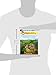 Following the Trail of Marco Polo (Geronimo Stilton, No. 4)