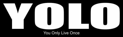 YOLO Bumper Sticker 3" by 10" Rectangle