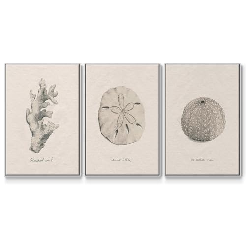 Renditions Gallery Canvas 3 Piece Wall Art for Living Room Sea Shores Coral & S…