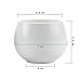 T4U Inch Ceramic White Collection NO.31 Succulent Plant Pot/Cactus Plant Pot Flower Pot/Container/Planter Package 1 Pack of 3