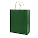 bagmad 100 Pack 8x4.75x10 Inch Medium Green Gift Paper Bags with Handles Bulk, Kraft Bags, Craft Grocery Shopping Retail Party Favors Wedding Business Sacks (Dark Green, 100pcs)