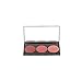 Smashbox L.A. Lights Blush and Highlight Palette, Malibu Berry