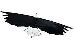 Revolution Kites Eagle Sport Wing with Reflex